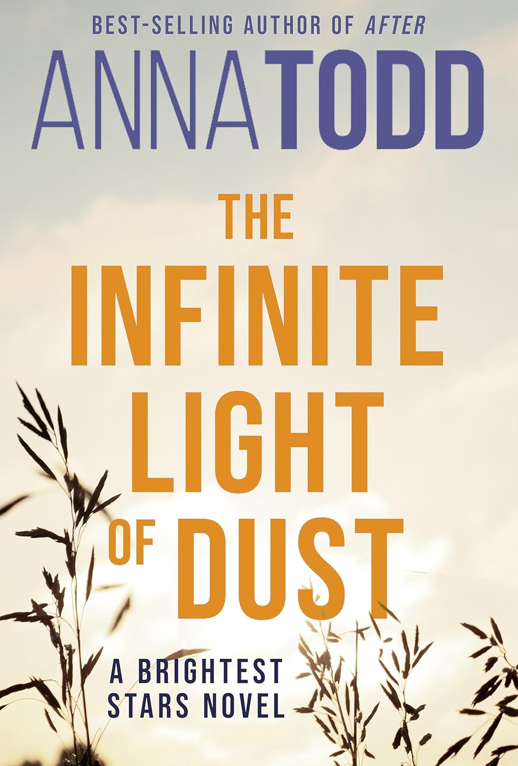 The Infinite Light Of Dust