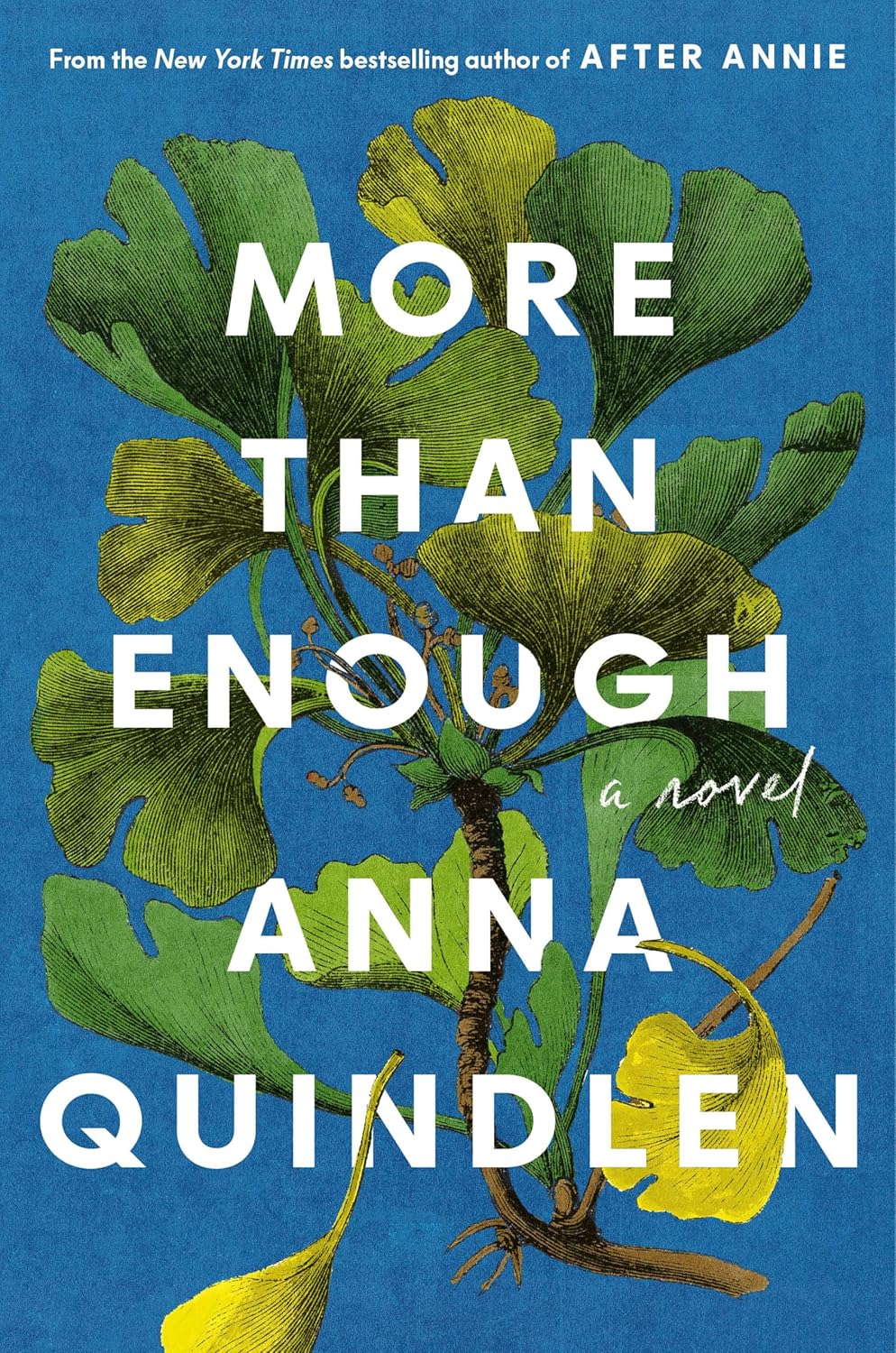 More Than Enough: A Novel