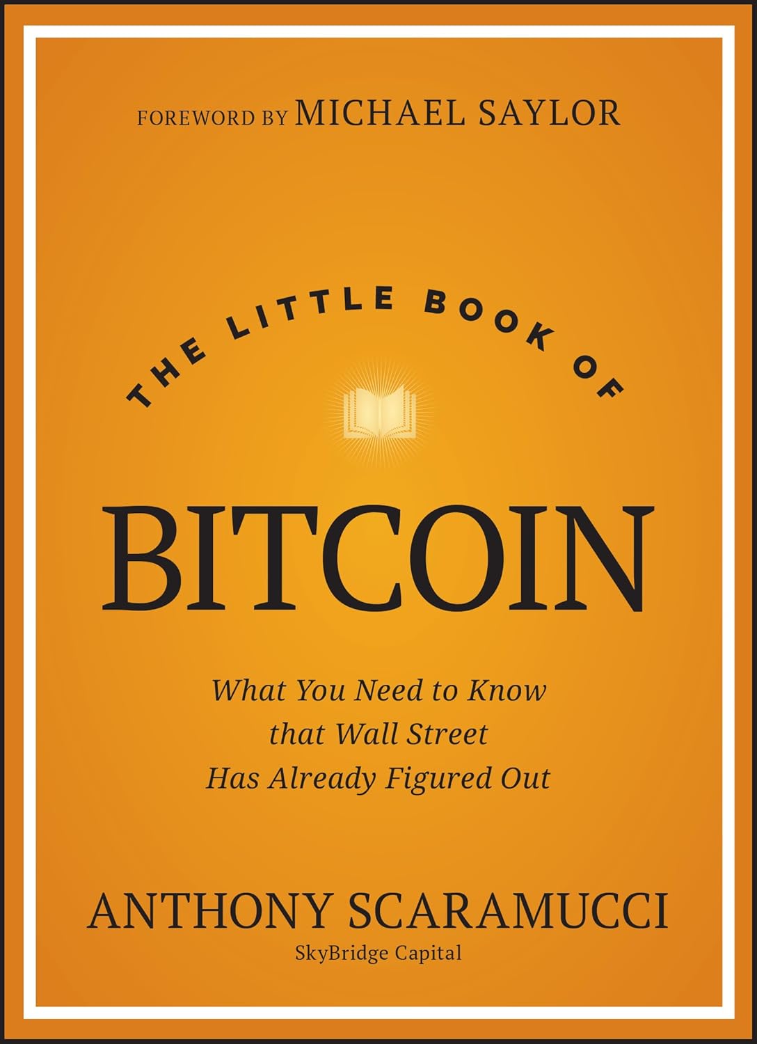 The Little Book of Bitcoin