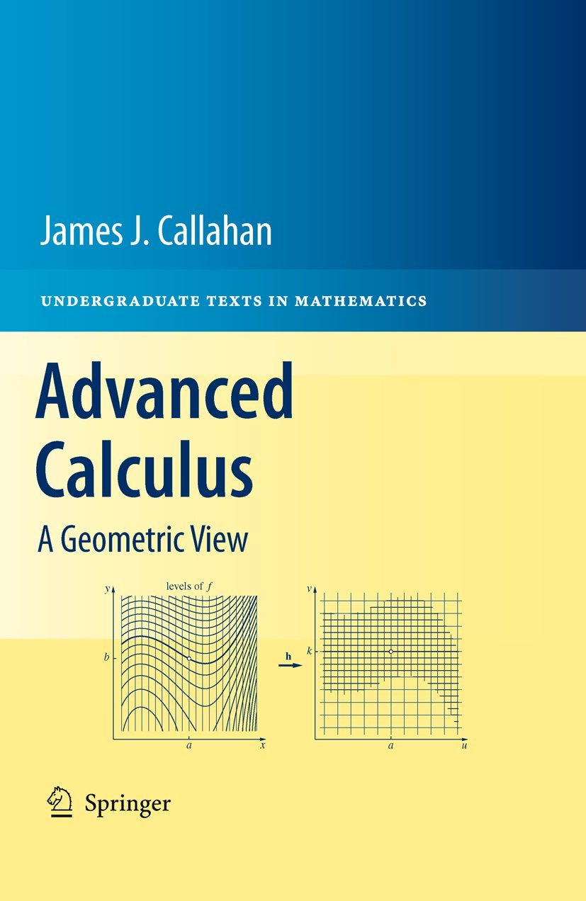 Advanced Calculus: A Geometric View (Undergraduate Texts in Mathematics)