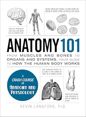 Anatomy 101