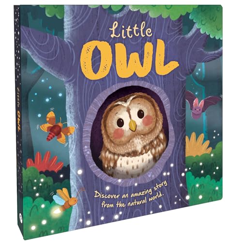 Little Owl | Discover An Amazing Story of Owl | Story Book | Board Book for Kids