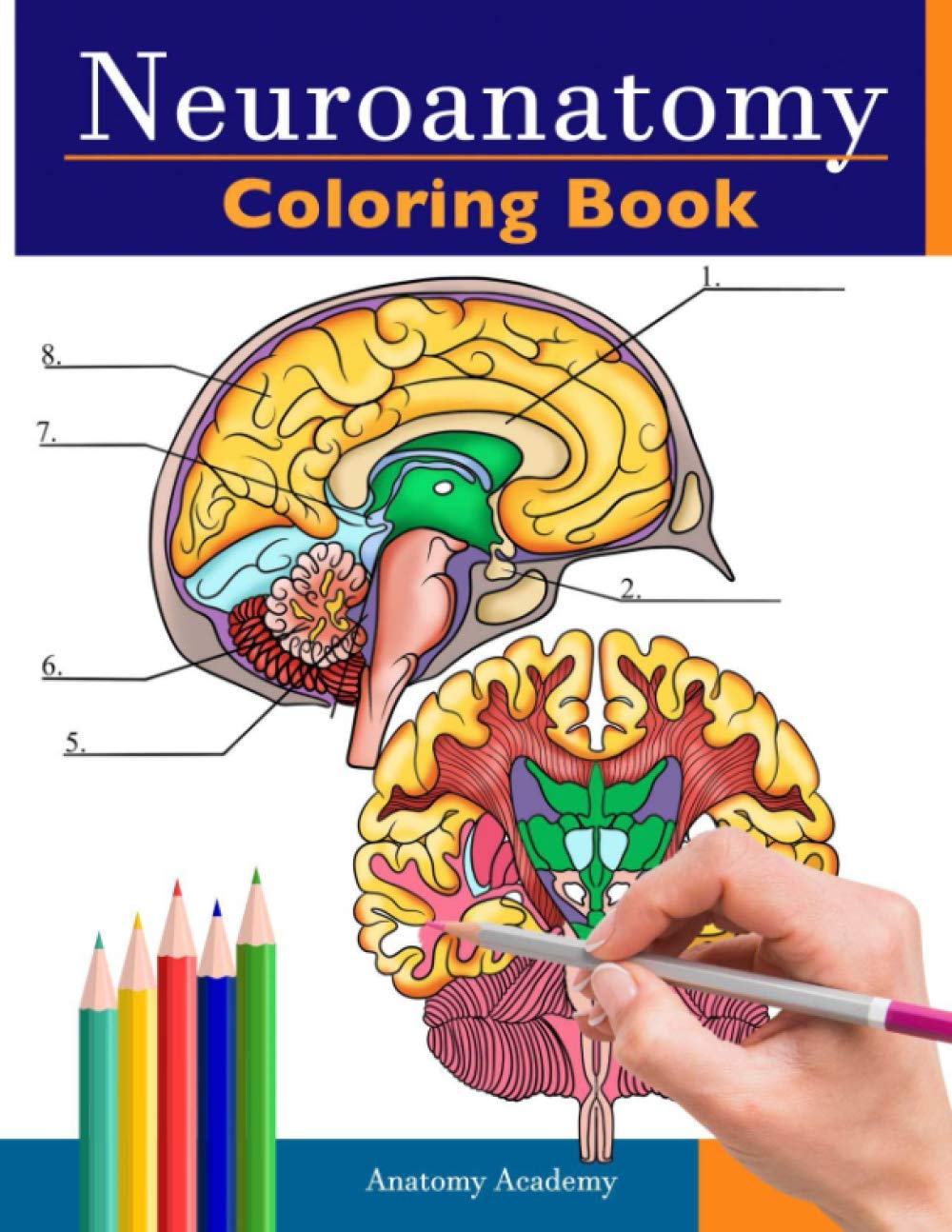 Neuroanatomy Coloring Book: Incredibly Detailed Self-Test Human Brain Coloring Book for Neuroscience Perfect Gift for Medical School Students, Nurses, Doctors and Adults