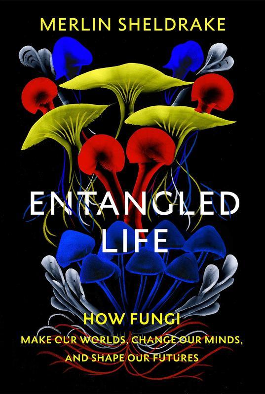 Entangled Life : How Fungi Make Our Worlds Change Our Minds and Shape Our Futures