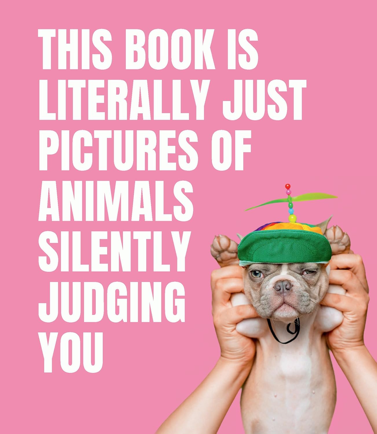 This Book is Literally Just Pictures of Animals Silently Judging You