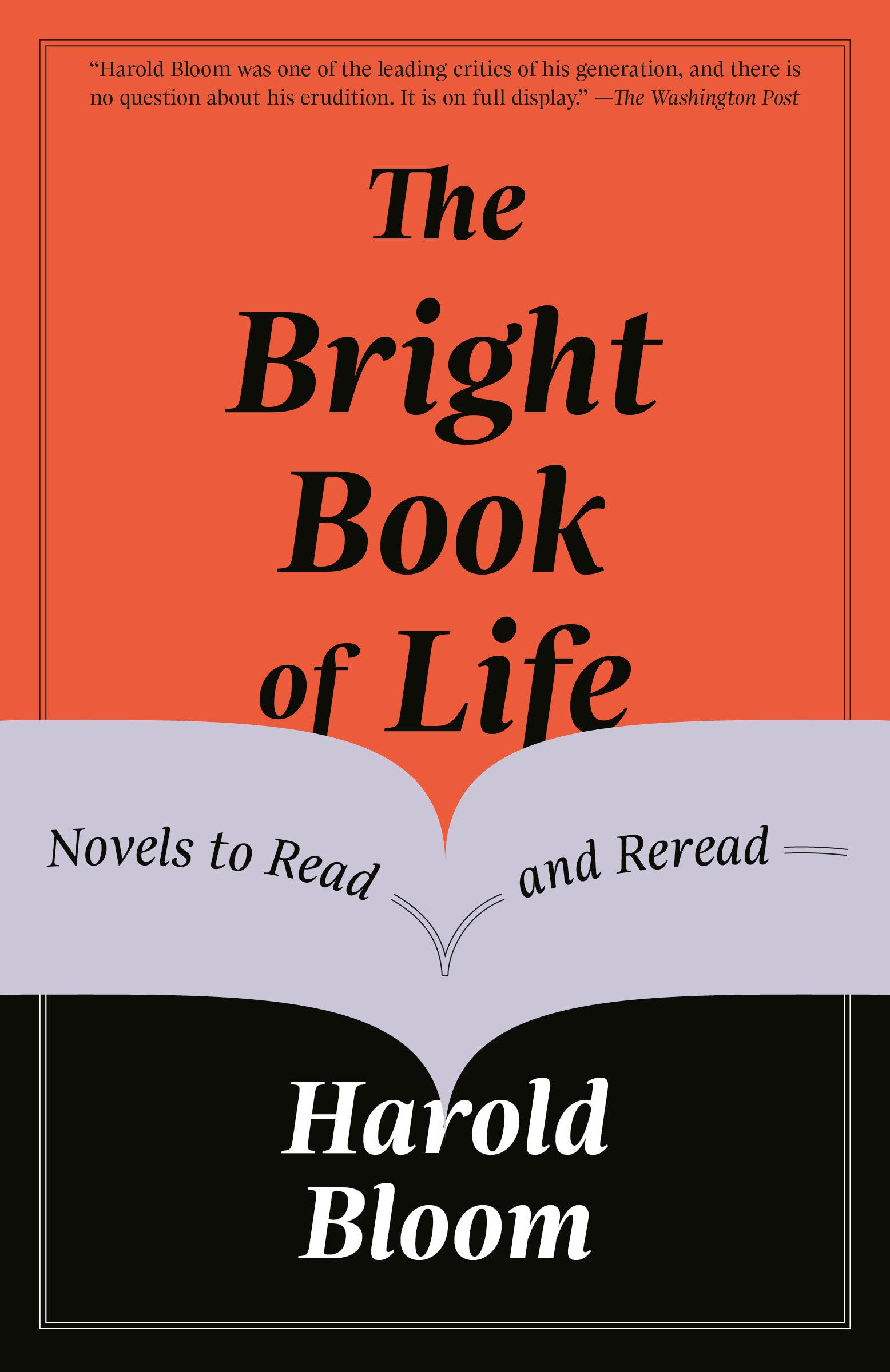 The Bright Book of Life: Novels to Read and Reread