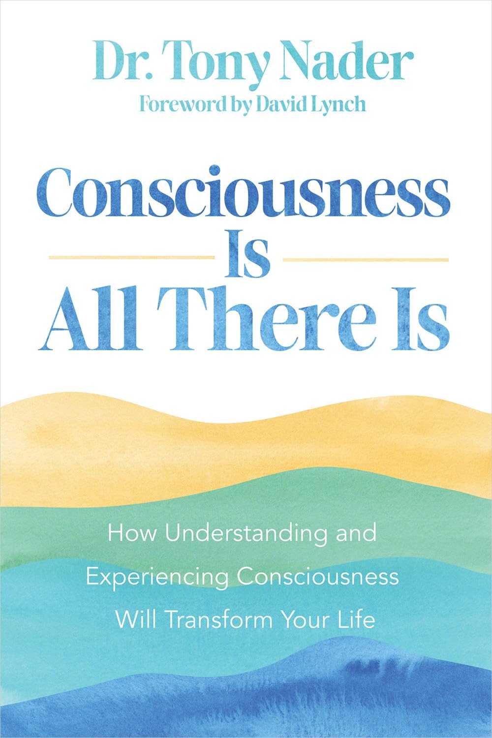 Consciousness is all there is