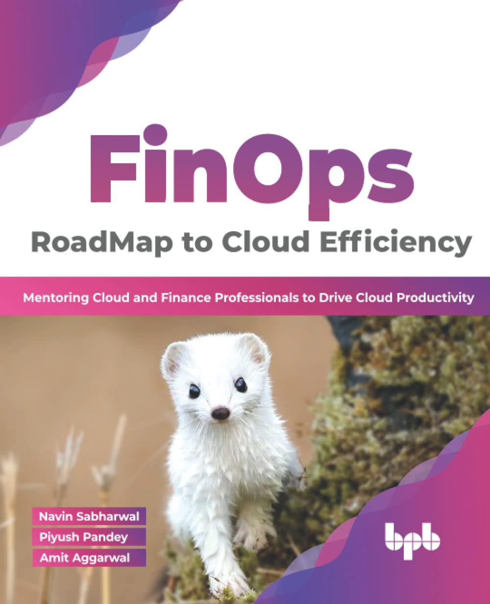 FinOps: RoadMap to Cloud Efficiency