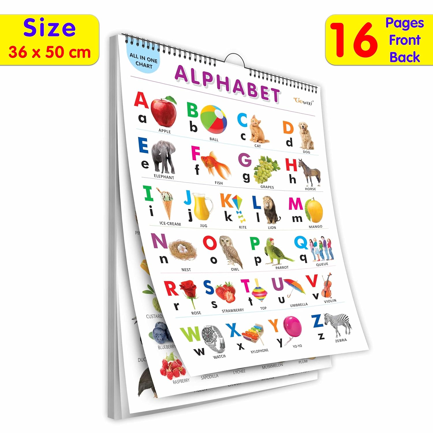 English Chart For Kids (16 Charts ) 36 x 50 cm - Children Spiral Wall Picture Chart