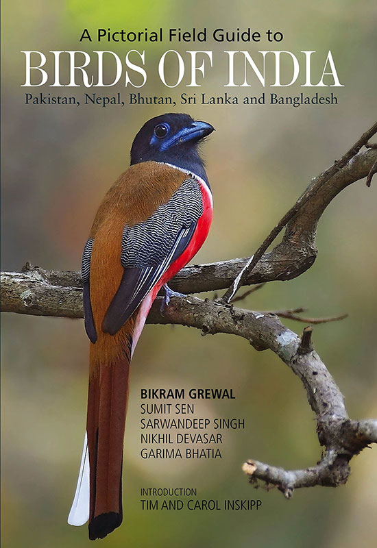 Birds of India - A Pictorial Field Guide