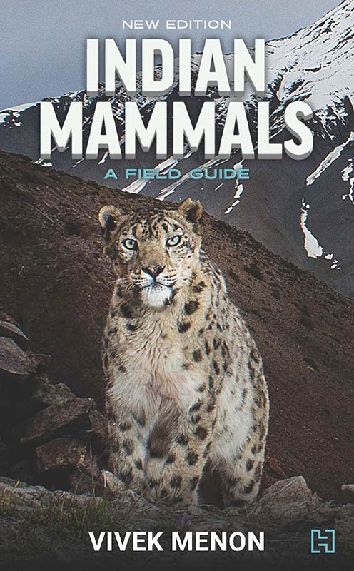 Indian Mammals