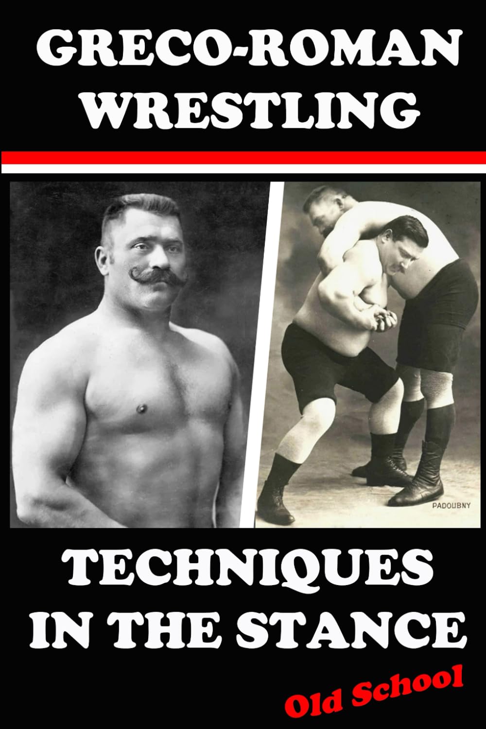 Greco-Roman Wrestling Techniques in the Stance