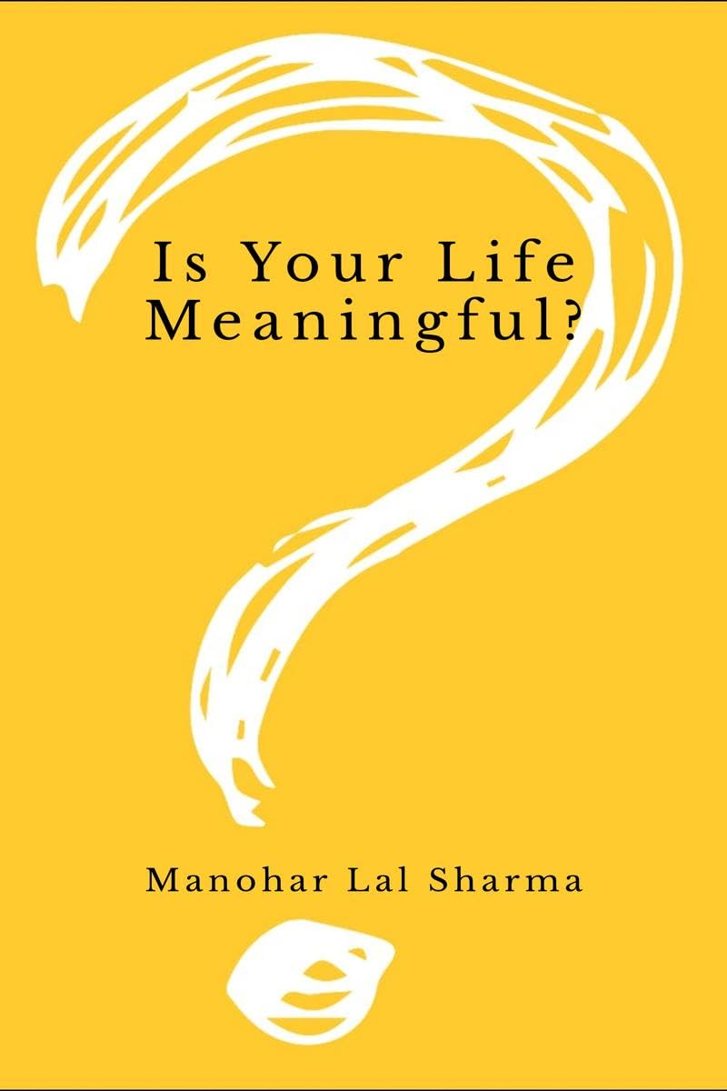 Is Your Life Meaningful?: For a better lifestyle