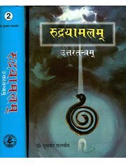 RUDRYAMAL TANTRA(SET-2 VOL)