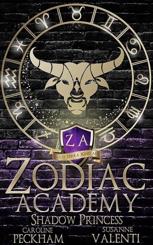 Zodiac Academy 4: Shadow Princess