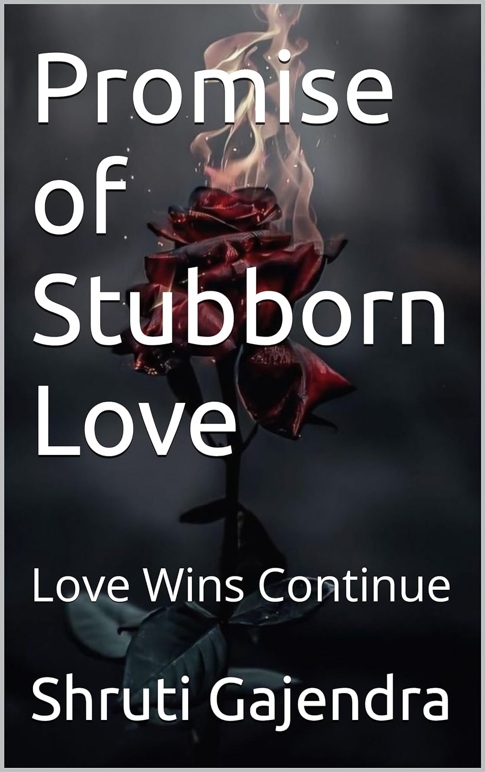 Promise of Stubborn Love: Love Wins Continue