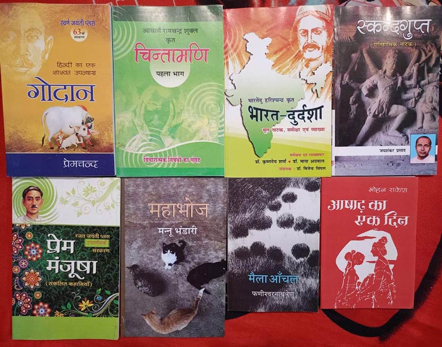 UPSC 8 BOOKS COMBO PACK HINDI OPTIONAL